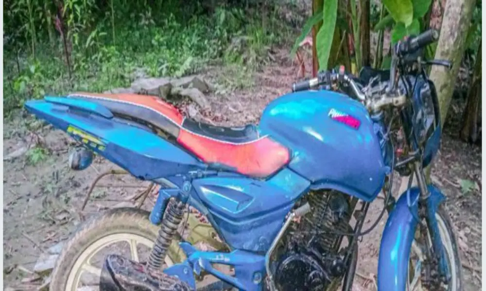 Bajaj. 2009