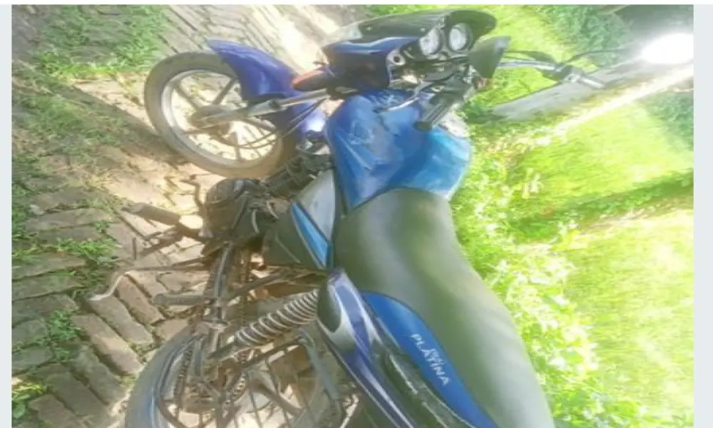 Bajaj Platina . 2013