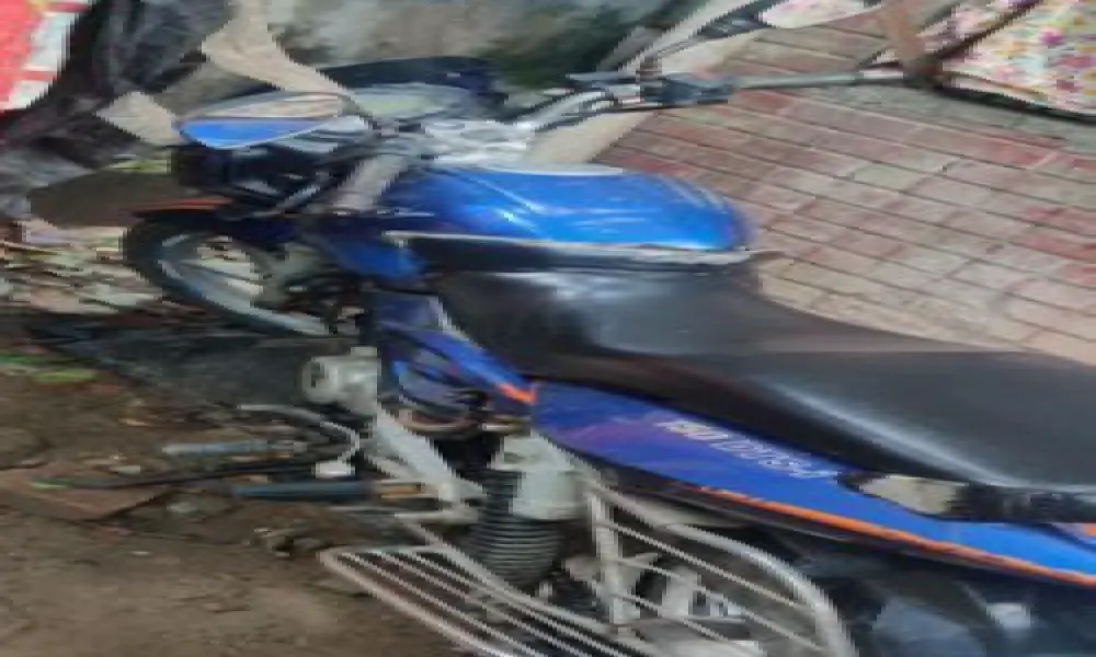 Bajaj Pulsar 2008