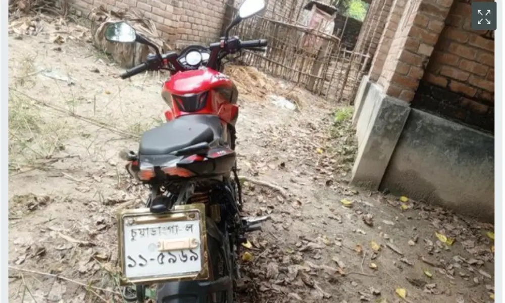 Bajaj Pulsar NS 160 AHU 2019