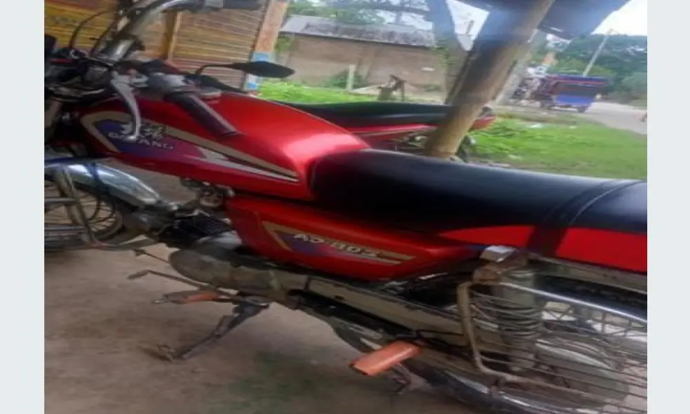 Dayang AD-80s 2013