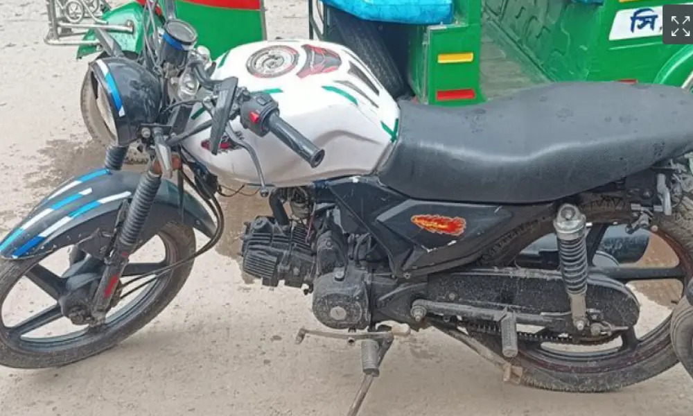 Dayang Runner Other Model 2019