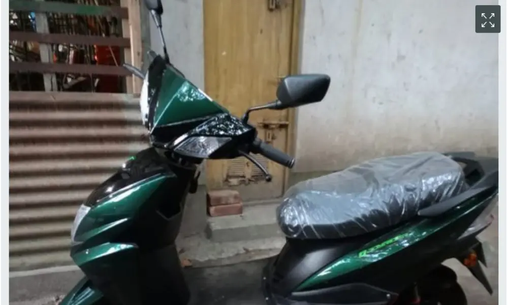 Green Tiger 2024