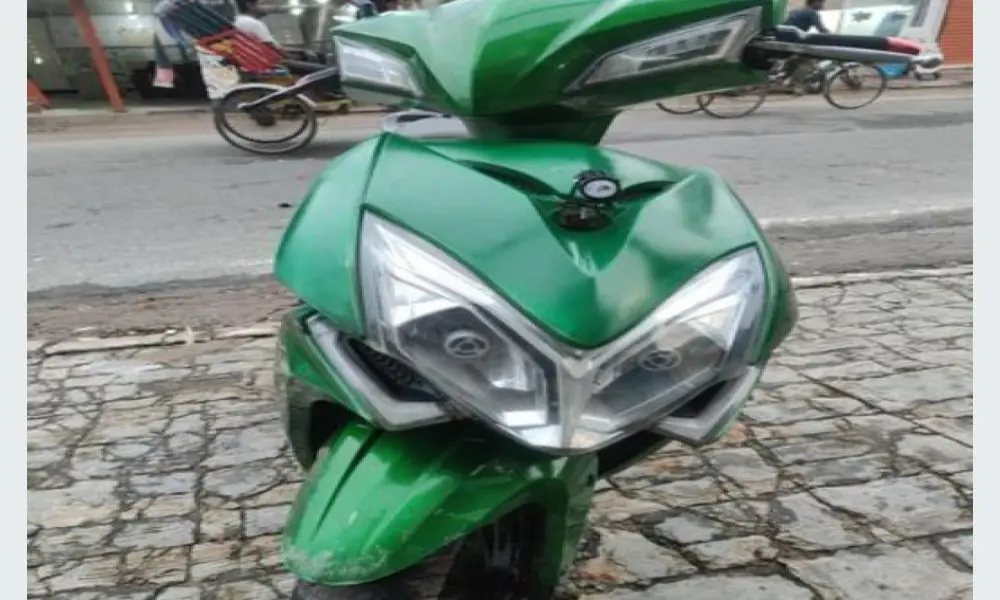 Green Tiger Big Size 2021