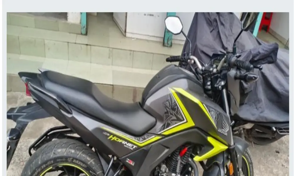 Honda Hornet SFR 2019