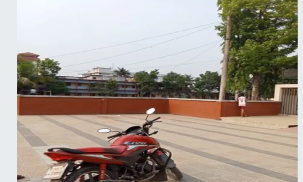 Honda levo 2019