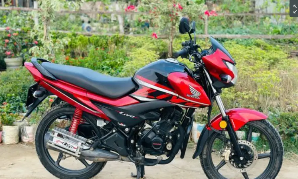 Honda Livo CBS breaking 110 2023