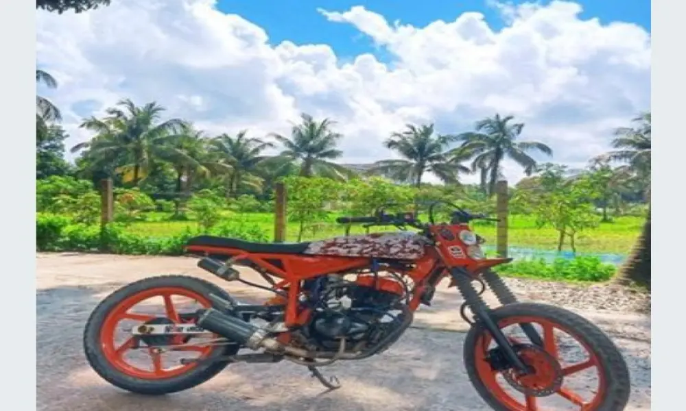 Modified bike for sale 2013