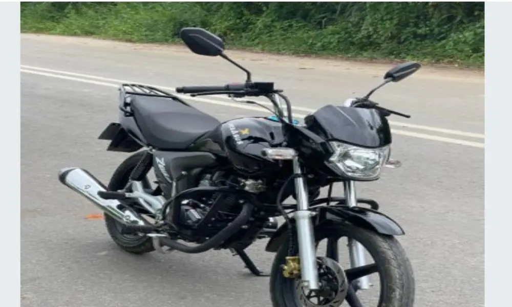 Pegasus Zeus 150cc 2025