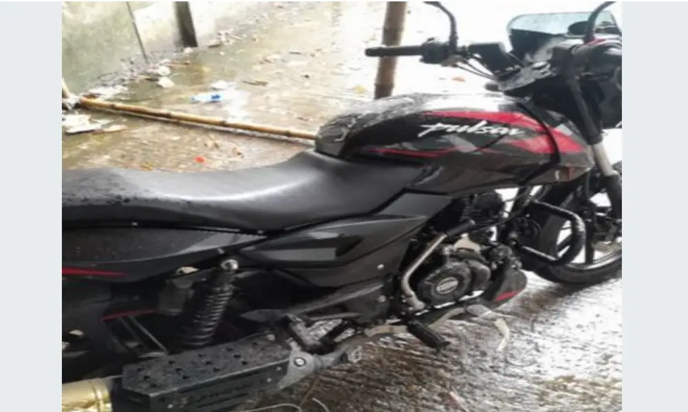 Pulsar 150 2024