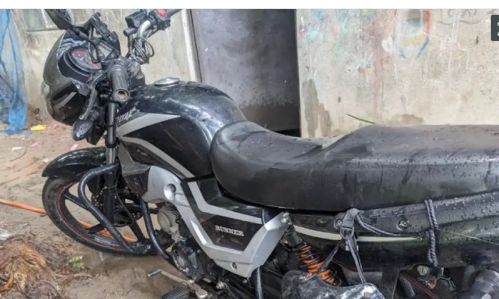 Runner Royal Plus 110cc 2023