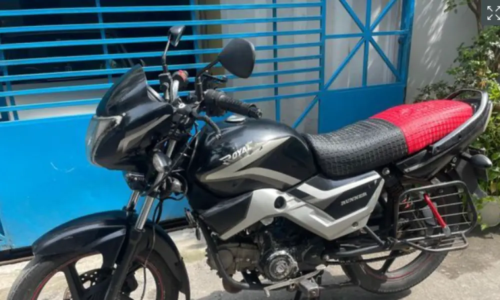 Runner Royal Plus  2021