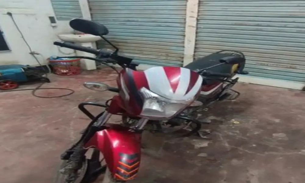 Runner Royal Plus 2022