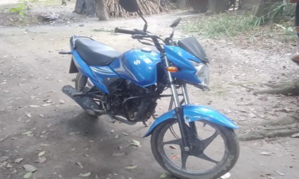 Suzuki Hayate beautiful 2020