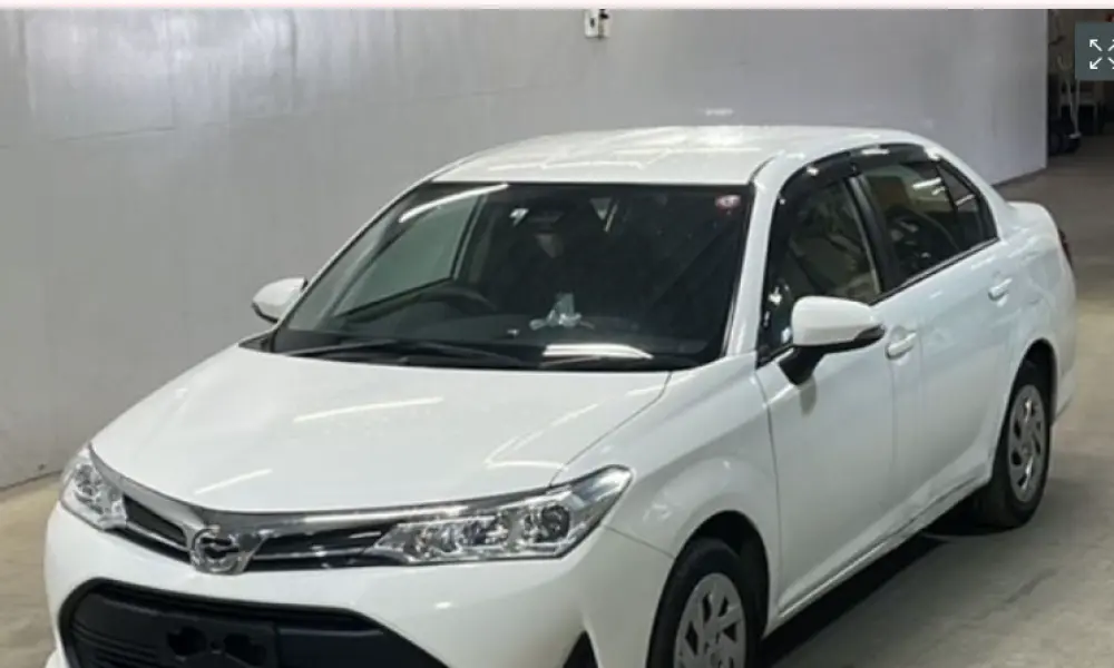 Toyota Axio EX 2020