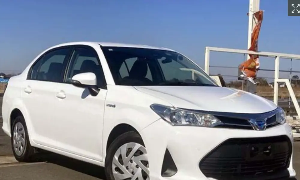 Toyota Axio EX 2020..