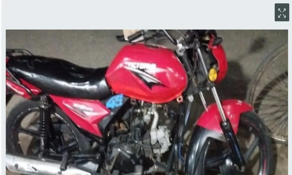 Victor-R V-80 Xpress . 2018