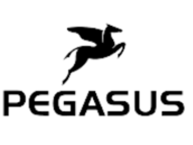 Pegasus