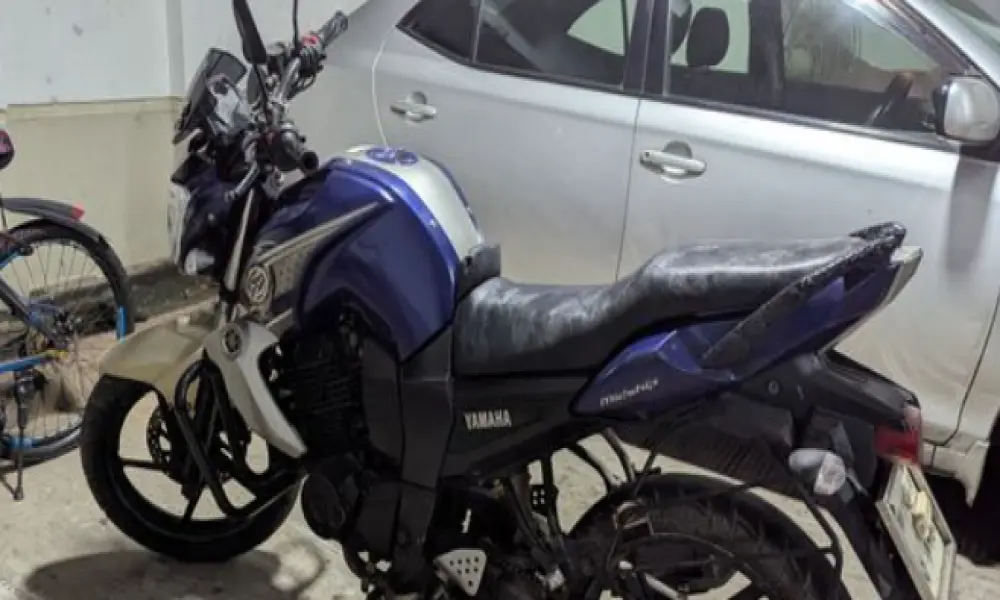 Yamaha FZS  2014