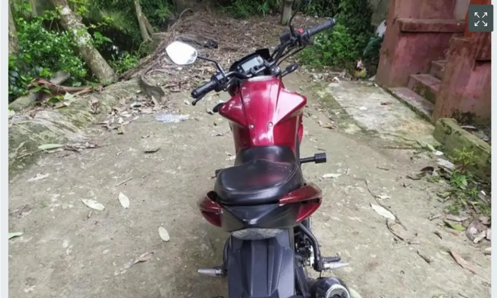 Suzuki 2018